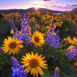 Meet your Posher, Michele